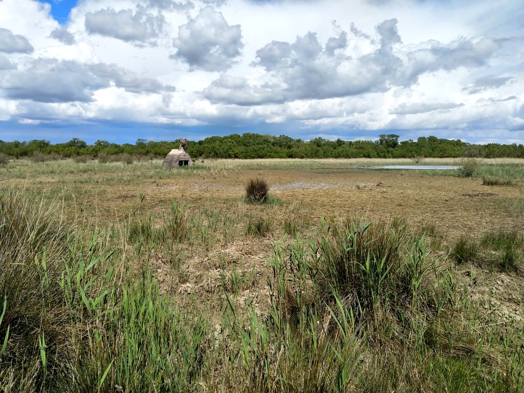 E per terminare in bellezza la giornata... qualche scatto della #Camargue con le sue saline e i suoi cavalli bianchi. Uno dei posti più affascinanti di tutta la #Provenza... ❤️#France #Arles365