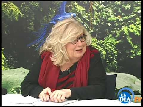 RINCON VERDE 240419 youtube.com/watch?v=vbodMB…