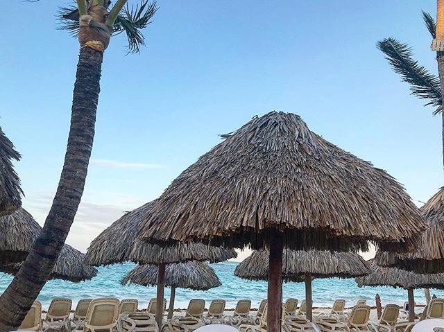 TravelUnpack's tweet photo. 🌴 Am I the only one obsessed with these palm tree umbrellas?! 🌴
•
•
•
•
•
•
#travel #travels #traveler #travelblogger #blogger #travelwriter #travelcouple #travelingcouple #travelingcouples #coupleswhotraveltogetherstaytogether #coupleswhotravel … https://t.co/Eeq1iyew5p https://t.co/GRZB3JkIiM