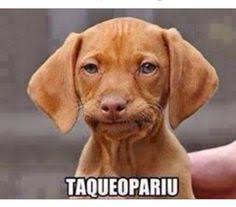 _ReGuedess's tweet photo. https://t.co/1ME0N4KaB6
