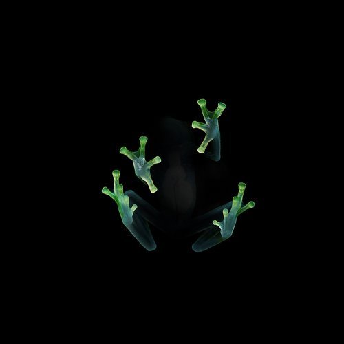 Dancerituals1's tweet photo. #DR047 #DanceRituals
08. @dogblood - Turn Off The Lights (Original Mix) [@OWSLA]

https://t.co/NHscQANaY4 https://t.co/xeUJpwzBmA