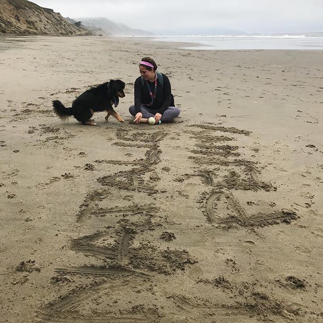 natbking's tweet photo. Dog mom life. 🐾 https://t.co/08xgIEBCpt https://t.co/kYzplK0VEg