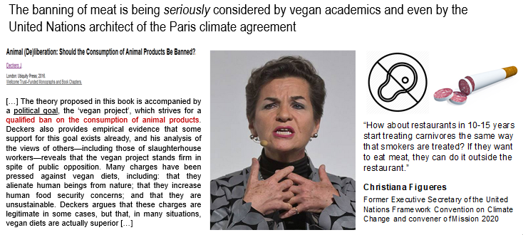 Tactic 8: ban meat. Ex-communicate it. By the way, Christiana Figueres is on the Board of Directors of  @WorldResources. You can't make these things up.12/n