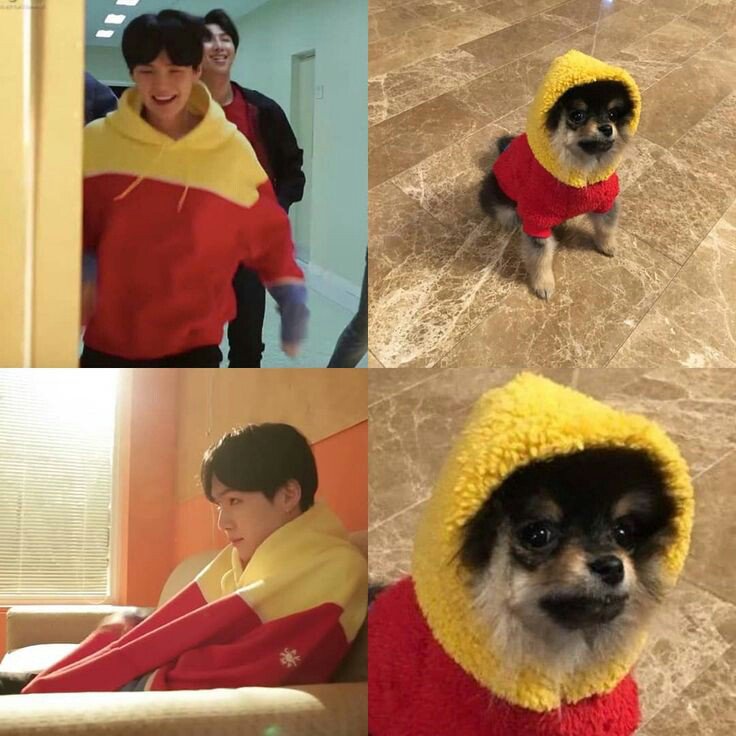 sugangst's tweet photo. TAEGI ! AU ─ DogBoy.

Taehyung se acaba de mudar solo y un día recibe una llamada de su mejor amigo donde le pide si puede tener un perro que encontró abandonado en la calle. Lo que nadie sabe es que es una persona también. 

#taegi #taegiau #au #yoontae #yoontaeau https://t.co/PDxT5Xe7Ta