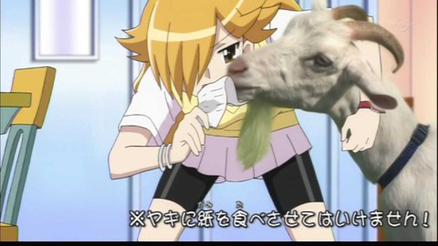 グレイスバァラル Pa Twitter 頭おかしいアニメは って話題でポプテピピックとかカブトボーグ とか銀魂やボボボーボ ボーボボはよく名前上がるけど 皆もっと女児向けアニメにも目を向けようぜ 女児向けカブトボーグと評されるジュエルペットサンシャインってアニメが