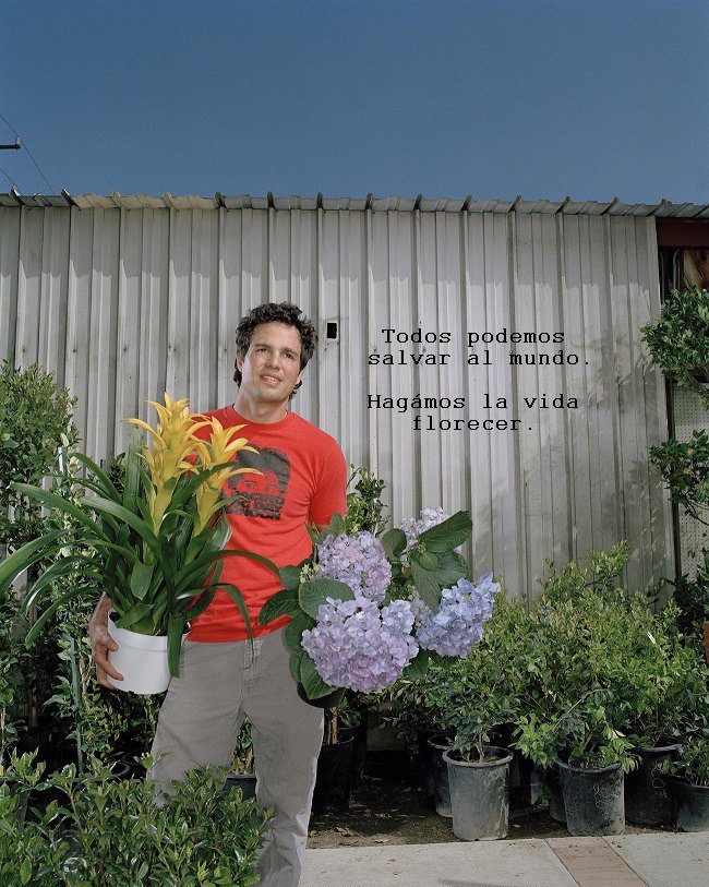 Sé un héroe como #Hulk. 
Siembra vida, #hagamoslavidaflorecer 
#AvengersEndgame
#VengadoresEndgame
#AvengersEndame