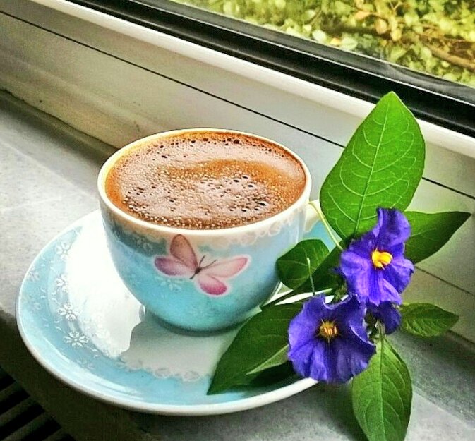 Fiesta time 007DK. tweet media