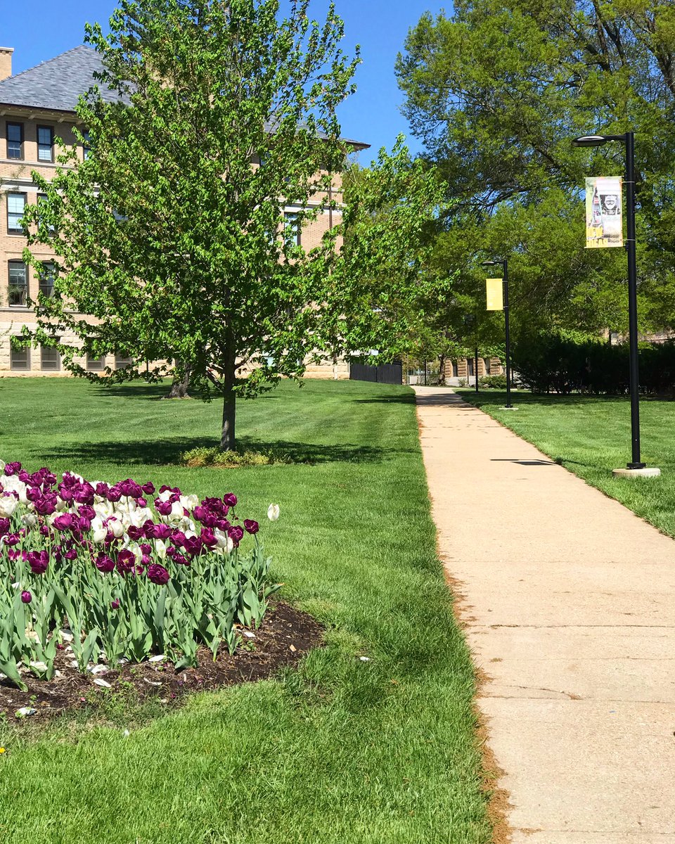 UncoverRolla's tweet photo. On my way to #RocktheCASB! @MissouriSandT #rollamo #perfectspringday https://t.co/x4AGASoTNC