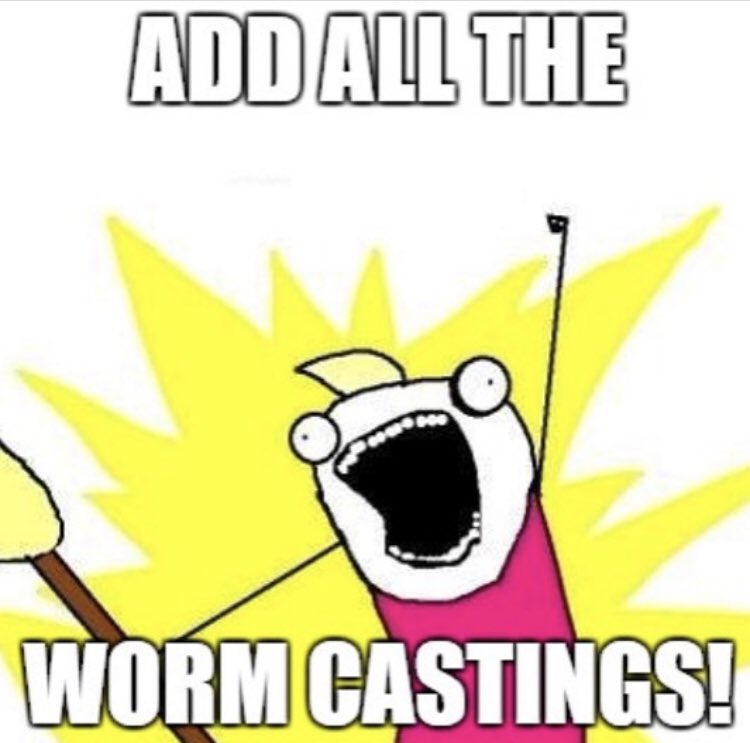 magicwormranch's tweet image. Stock up on your earthworm castings this Saturday at @MarketTomball ! #wormcastings #soilamendments #organic #nutrientrich #microbes #livingsoil #soilfoodweb #gardenersgold #feedyoursoilfeedyourplants #allnatural #earthworms #garden #plantfood #landscape #farmersmarket