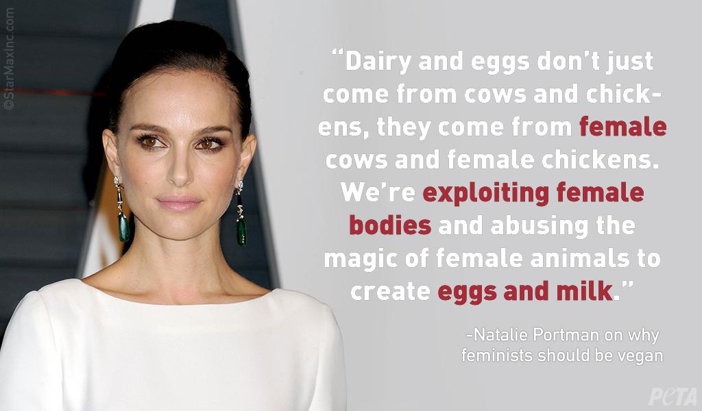 PETA on Twitter: PETA on Twitter: