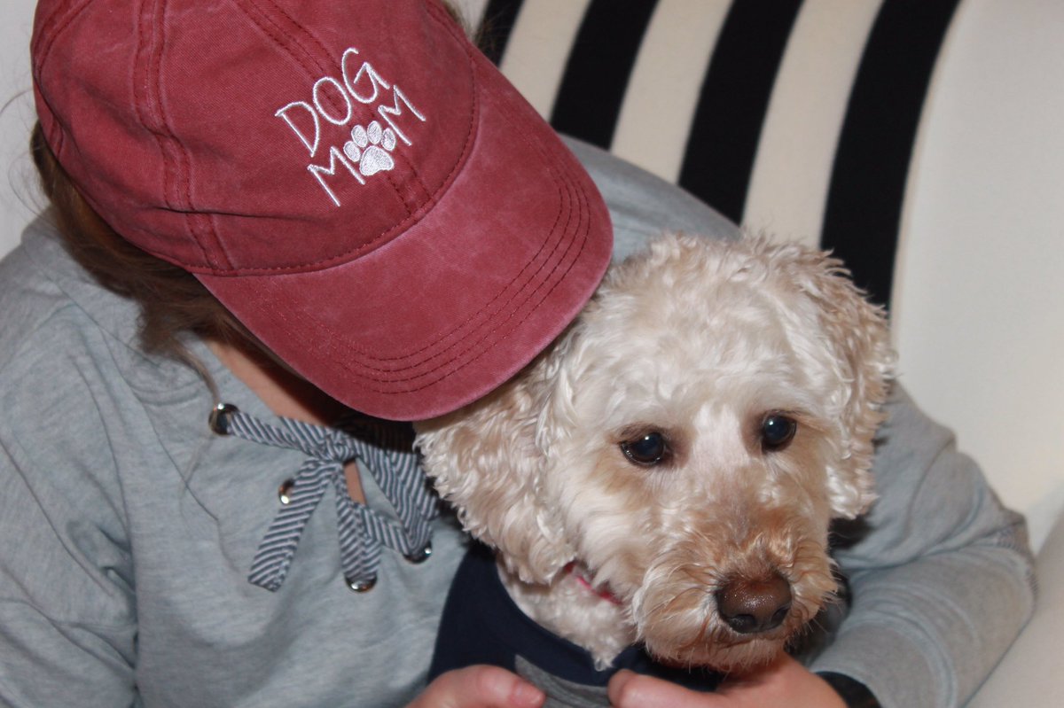 KozieBy's tweet photo. Any dog lovers?!?! Looking for a summer baseball hat? Visit Rebecca and Melody at their boutique, Manna DeKor and More!
.
.
The boutique is located at 5680 North State Road 327 Orland, IN. The store hours are Tuesday 5-8pm and Saturday 10-3pm. https://t.co/xsH7hxymlM