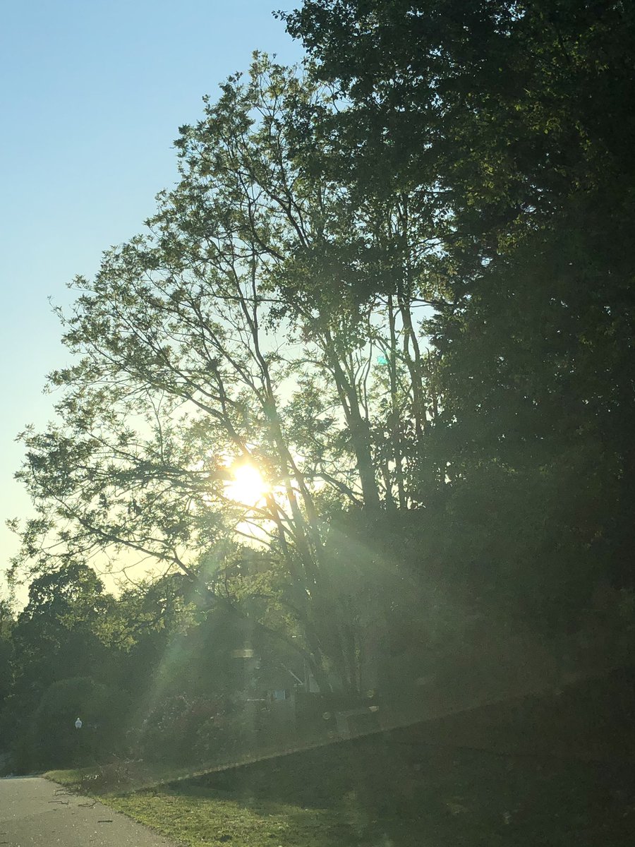 DawnWar54083541's tweet photo. The light shines in the darkness, and the darkness has not overcome it. John 1:5 
#light #lightofjesus #lightshinesthrough #nature #godsbeauty #creationtestifies #creationcriesout #nofilter #thisisourgod https://t.co/1mCHvdcdFa