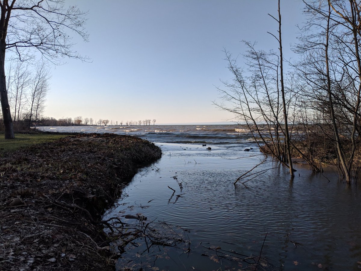 ErffmeyerMindy's tweet photo. #LakeHouseLodge #LHL tonight. Getting breezy, "it's cranking out there, it's for real." Big ships. Lake changes by the minute. Dinner at Port Austin Sportsman Club was great tonight. https://t.co/422Ao1hwkG
