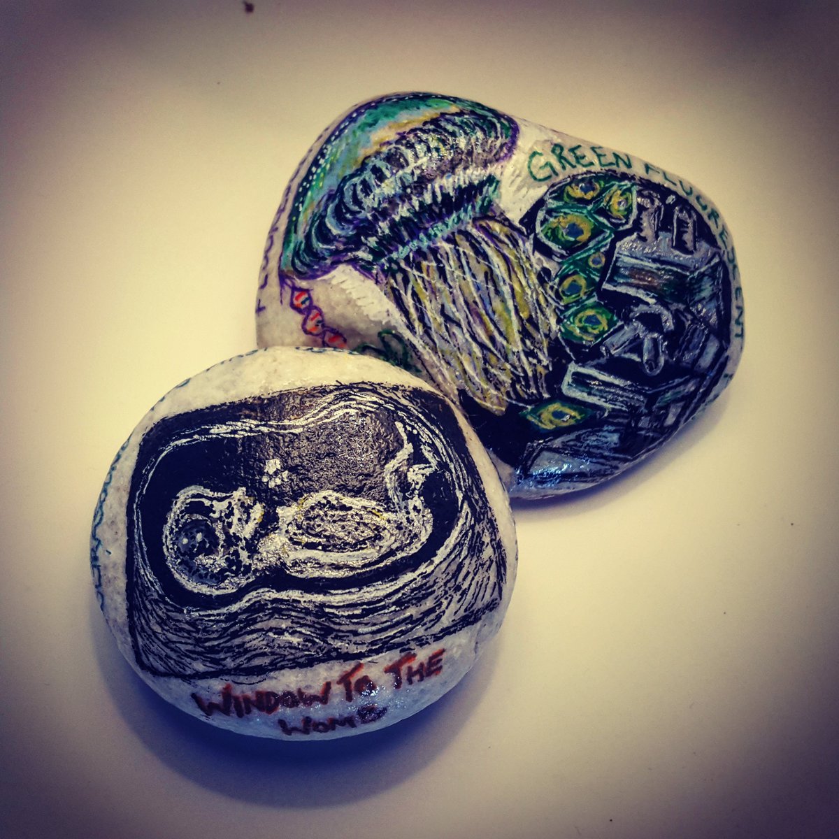 SipbsSciRocks's tweet image. Bringing rocks to life! #ImagingTechniques ... The development of ultrasound technologies in Glasgow that completely changed the care women received during pregnancy.  &apos;Window to the womb&apos; #SipbsScienceRocks #STEM #SciArt #Engage