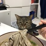電気には低圧と高圧があり 高圧電気は触らなくても感電する 鉄塔に近づいてはいけない理由や身近にあるもので感電する可能性の話 Togetter 電気には低圧と高圧があり 高圧電気は触らなくても感電する 鉄塔に近づいてはいけない理由や身近にあるもので感電する可能性の話 Togetter