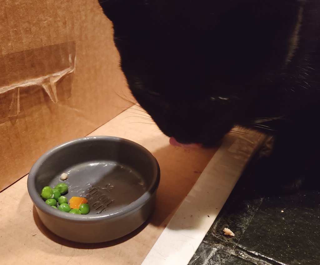 Stayed in and made dinner for my cat. 