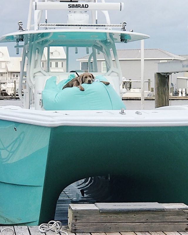 It looks like the Second Mate of the “Saturday Sipper” has this whole #FreemanFriday thing figured out! 🤪
.
For real though, it has been a fun week interacting with all of you on social media and, we appreciate everyone who takes the time to like our photos, share them with …