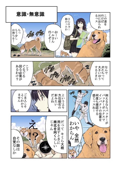 世界の終わりに柴犬と 犬の生理現象の話 