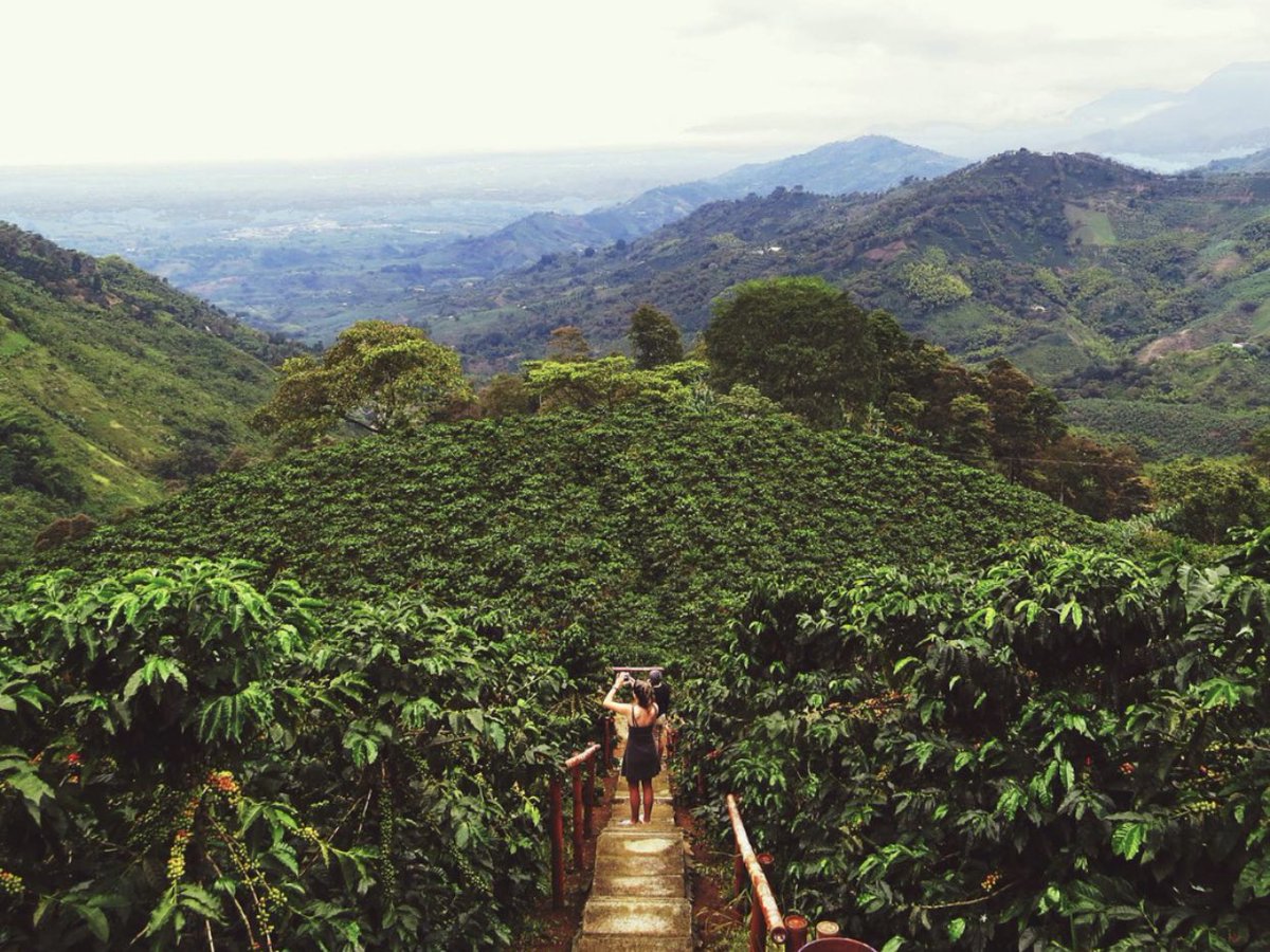 Parceros: hoy es #ArborDay y plantaremos un árbol en Colombia a nombre de las primeras 100 personas que publican con el hashtag #ParcePlantsTrees! 🌱🇨🇴🌳 

Únase a nuestra misión de proteger la biodiversidad y prevenir la deforestación en Colombia: bit.ly/parceearthday