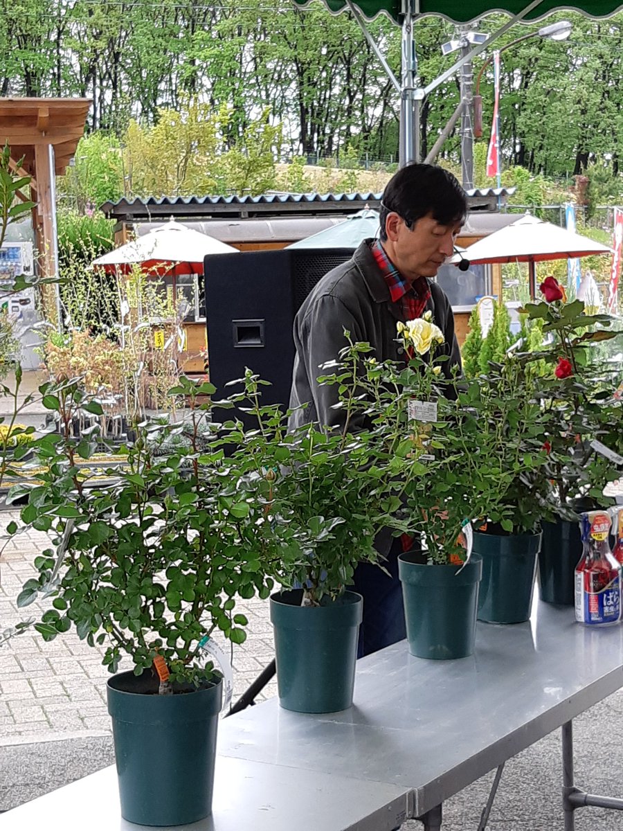 公財 鹿沼市花木センター公社 まもなく Nhkでおなじみの村上敏さんの薔薇の講習会始まりますよ 午後は13時半から 是非ご参加ください