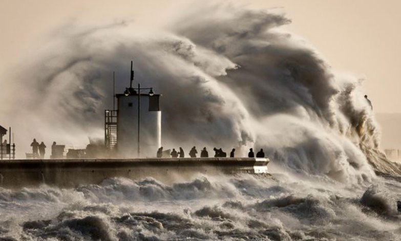 The Mirror tweet media