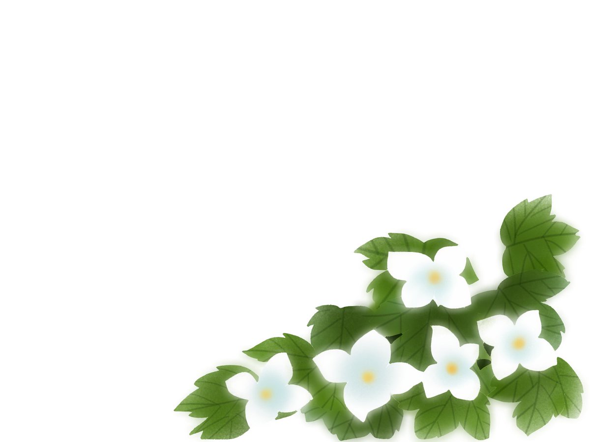 愛ちん ゆめみ愛 در توییتر イラストacさん投稿の４月２７日の誕生花 白根葵 シラネアオイ です 無料なので良かったらどうぞです T Co Ylut4tnqci 山林に群れを成して咲く花は 幻想的な美しさで 登山者を魅了してやまないそうです 素材 花
