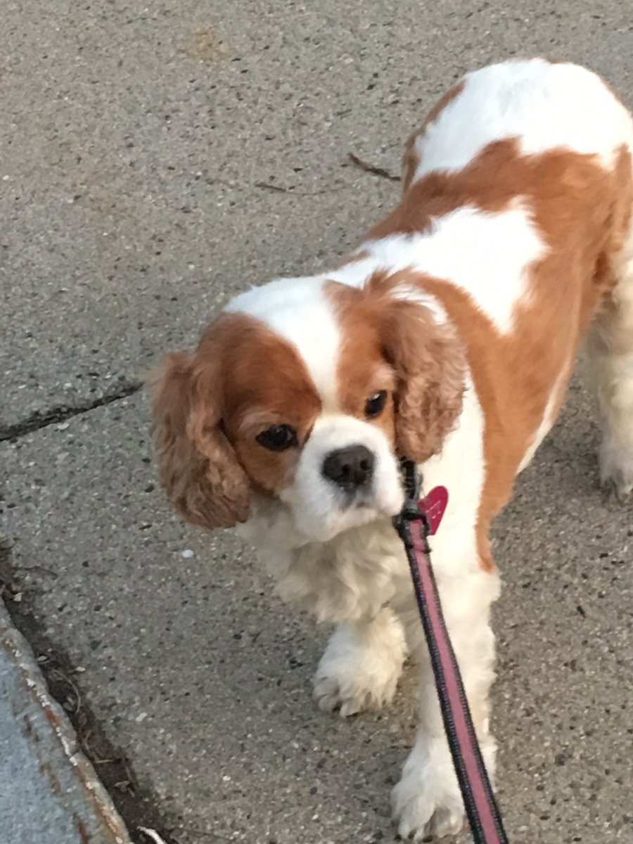 Alicia C. Staley tweet media