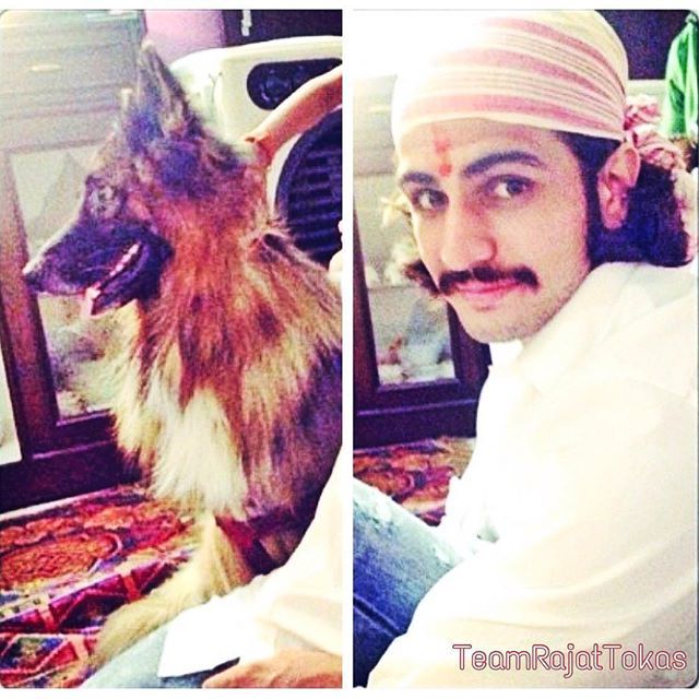 RajatTokasFD's tweet photo. Dog is the only thing on the earth that loves you more than you love yourself 😊
Start your day with spreading love and respect to people around us
@rajattokas19
#rajattokas #rajjattokas #rajat #mrtokas #sexytokas #naagin3 #vikrant #vishrant #chandr… https://t.co/B1xHT52lU0 https://t.co/RrJHM5CbCN