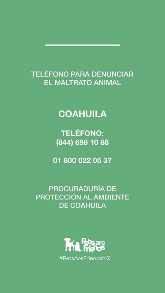Amores_Perros_I's tweet photo. Amigos de #Coahuila denuncien #NoAlMaltratoAnimal https://t.co/GDvyyfcSUh