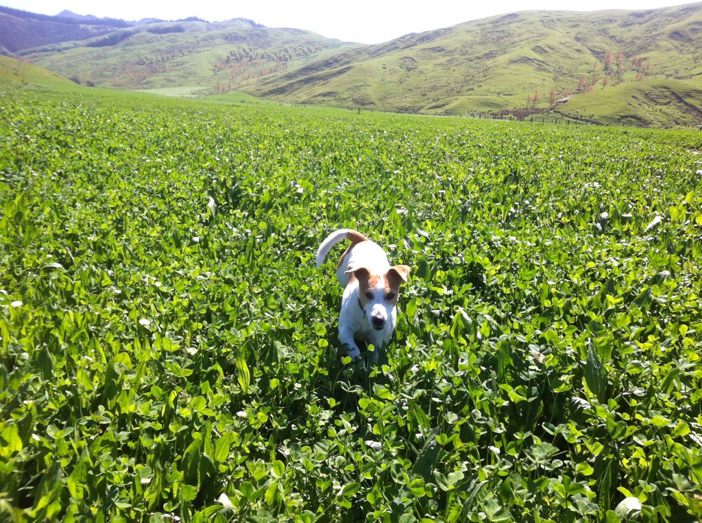 Sarah Crofoot tweet media