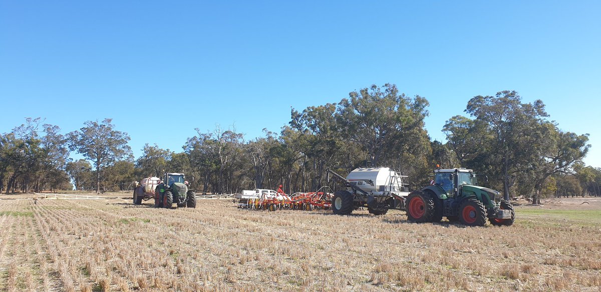 Would be nice if this was a start of seeding post. Instead it's just a fairly generic photo... #teethingproblems