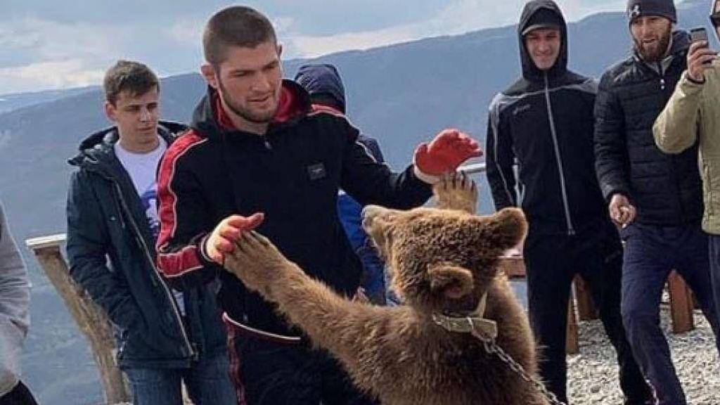 ELIMPARCIAL_DEP's tweet photo. VIDEO: ¡Abusivo! Khabib de UFC somete a pequeño oso; redes lo destrozan. https://t.co/E9UvSkl1Er #ELIMPARCIAL https://t.co/hsGY5VBoiy