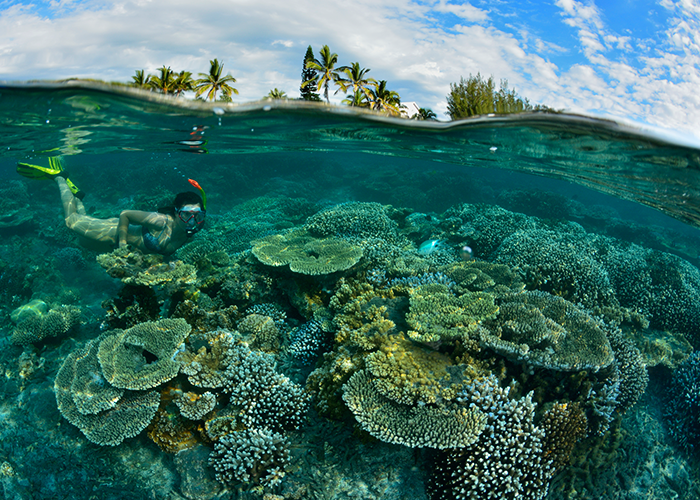 On this sunny #saturdaymorning, discover our new #Blog post on 3 special experiences at the heart of the Indian Ocean. 🏝islandian.com/inspirations/3…

#lovetheislands #travel #leisure #hospitality #tourism #indianocean #islands #article