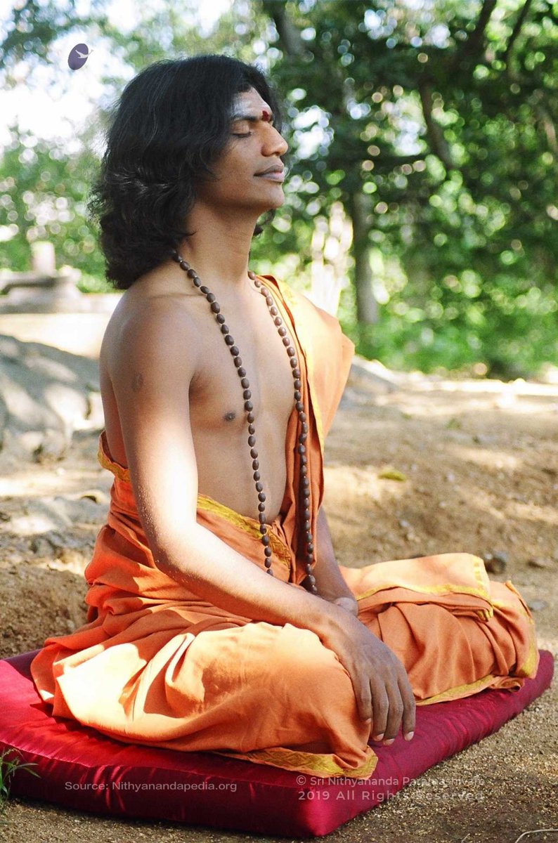 SriNithyananda's tweet photo. If you feel resonating with what I shared now be assured you are in the space of receiving all my spiritual powers to you just hum Mahavaakya "Om Nithyananda Paramashivoham” your body also will go through same transformation and achieve Swaroopa Samadhi. #SwaroopaSamadhi 8/9 https://t.co/j7UbTai7XJ