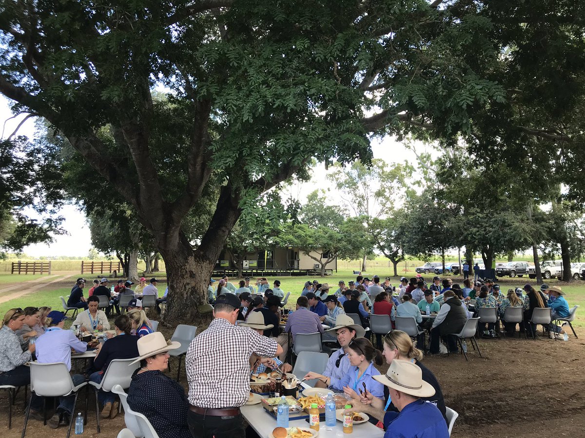 thomoinrocky's tweet image. #beef field days #CQstyle! Delegates at #ICMJNorth enjoyed Smokin Yak bbq lunch before a #CQUniAg research tour of @AgForceQLD’s Belmont Research Station. Fantastic day! @ausmeatjudging @CQUni @meatlivestock @AusRedMeat @TeysAustralia #brahman