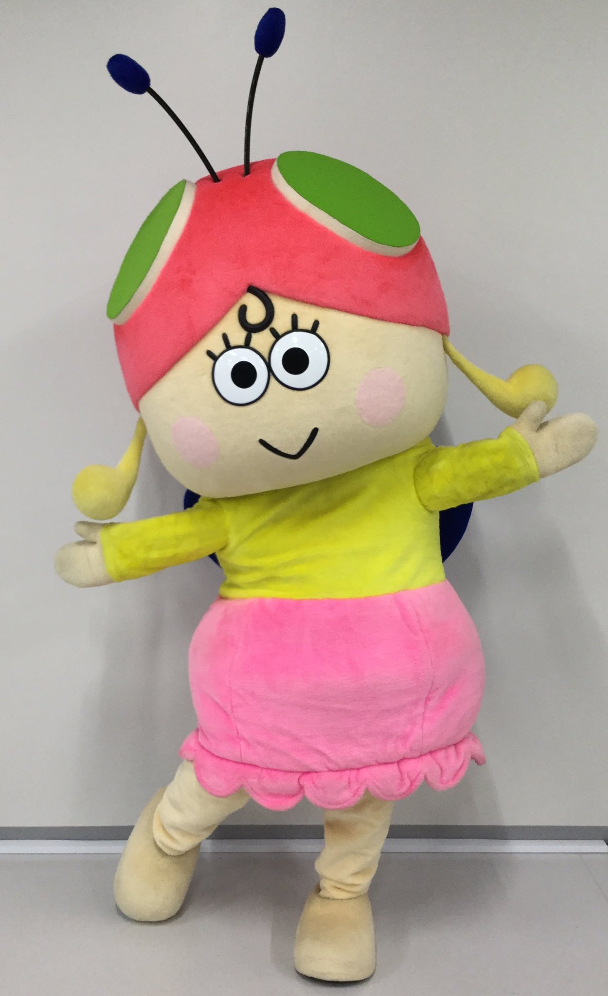 着ぐるみ カッパちゃん 低