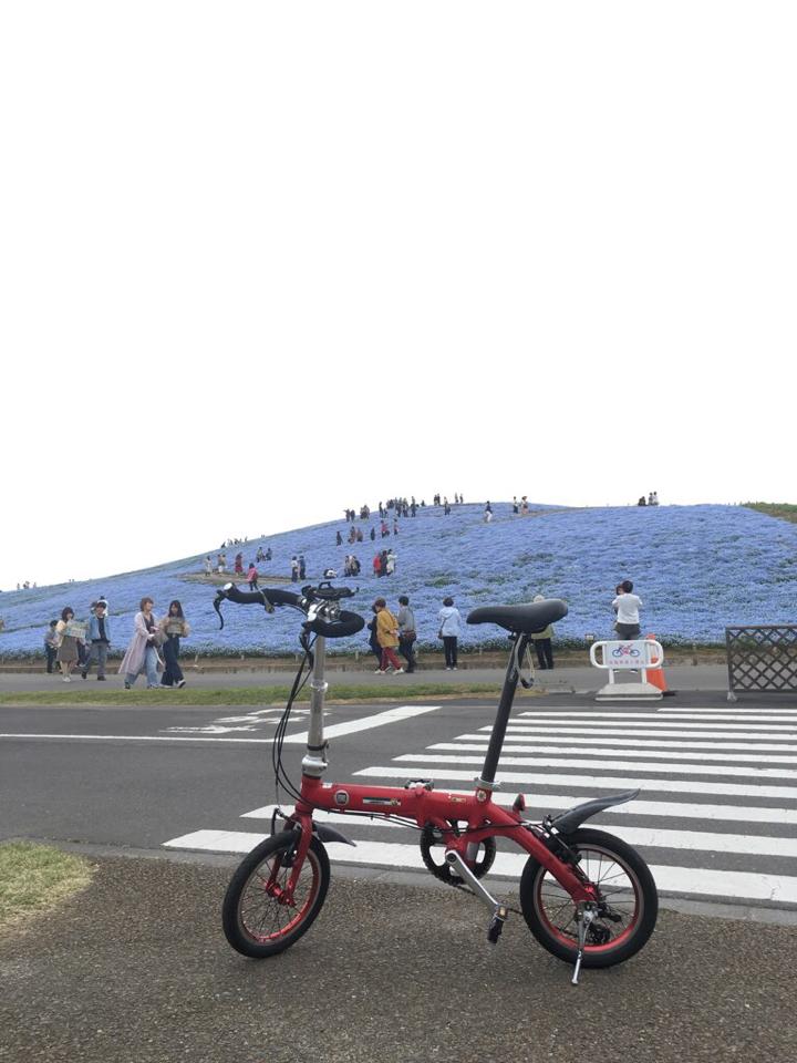kyoten's tweet photo. 24日のひたち海浜公園のネモフィラとFIAT FDB140(勝手ABARTH) #FDB140 https://t.co/6wkmIF3Bbe