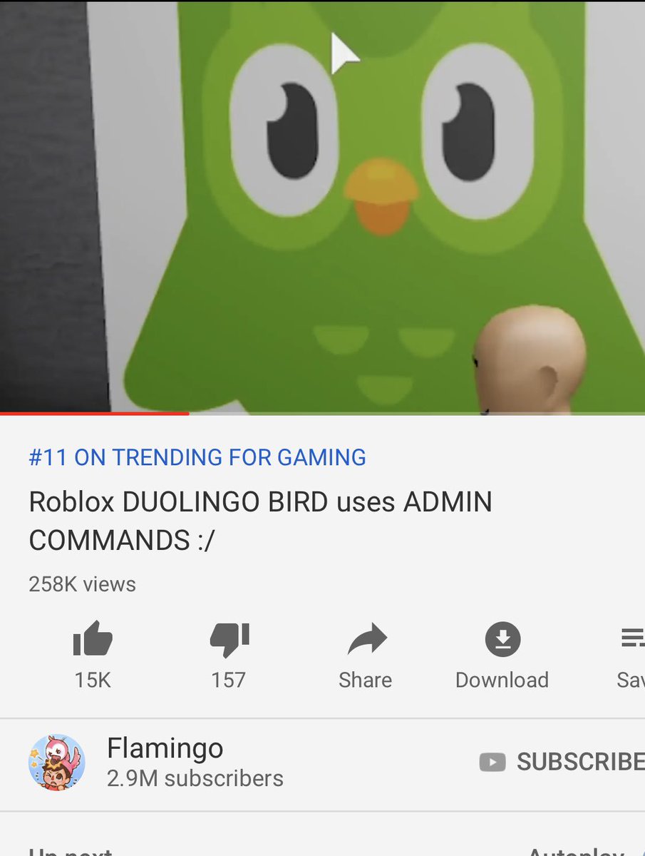 Albert On Twitter You Got A Dead Meme To Trending You Should Be Ashamed Of Yourselves Idote - duolingo bird roblox