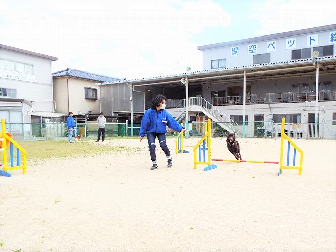 公式 関空ペット総合学院 Kanku Pet Twitter 公式 関空ペット総合学院 Kanku Pet Twitter