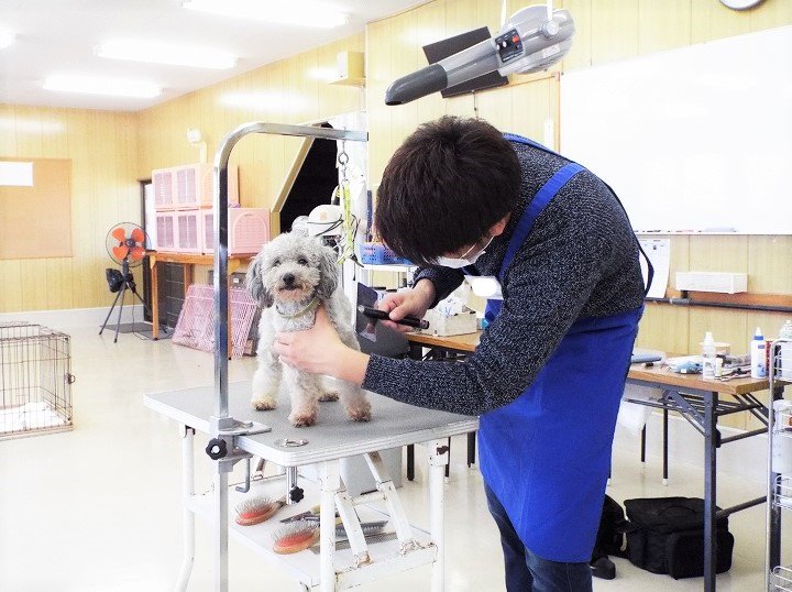 公式 関空ペット総合学院 Kanku Pet Twitter 公式 関空ペット総合学院 Kanku Pet Twitter