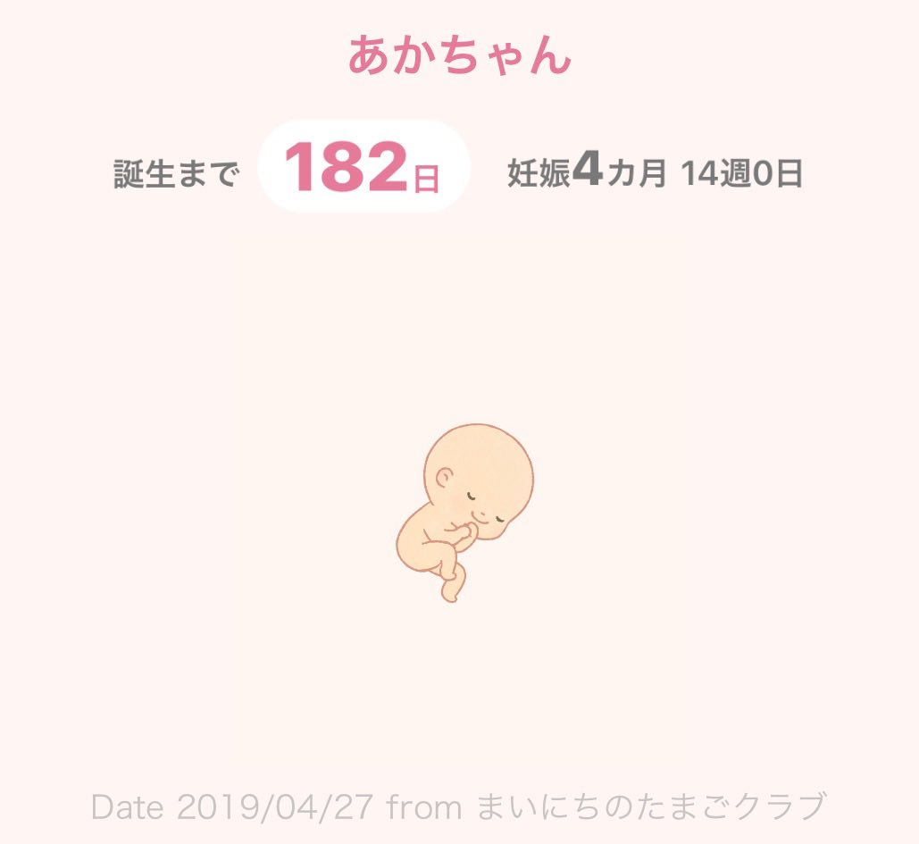 妊娠14週 妊娠14週