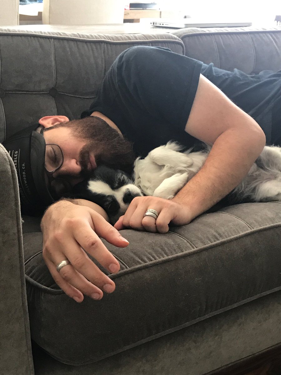 TheHauntMachine's tweet image. Busy at work when the Fiancé sends me this. Apparently I had an audience for my pre work nap...