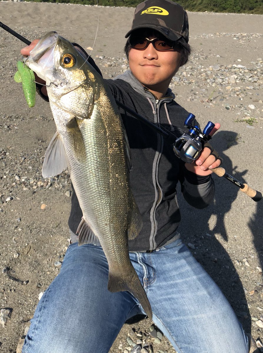 式地 慶介 A Twitter Birthday Fishは まさかのシーバス Osp ドライブシャッド4 5 のノーシンカーでいかにもなカバー際通したらカバーから飛び出してきて丸見えドッカンバイト 完全にバスやと思ったのに 笑 ある意味バスやけど 嬉しい外道でした
