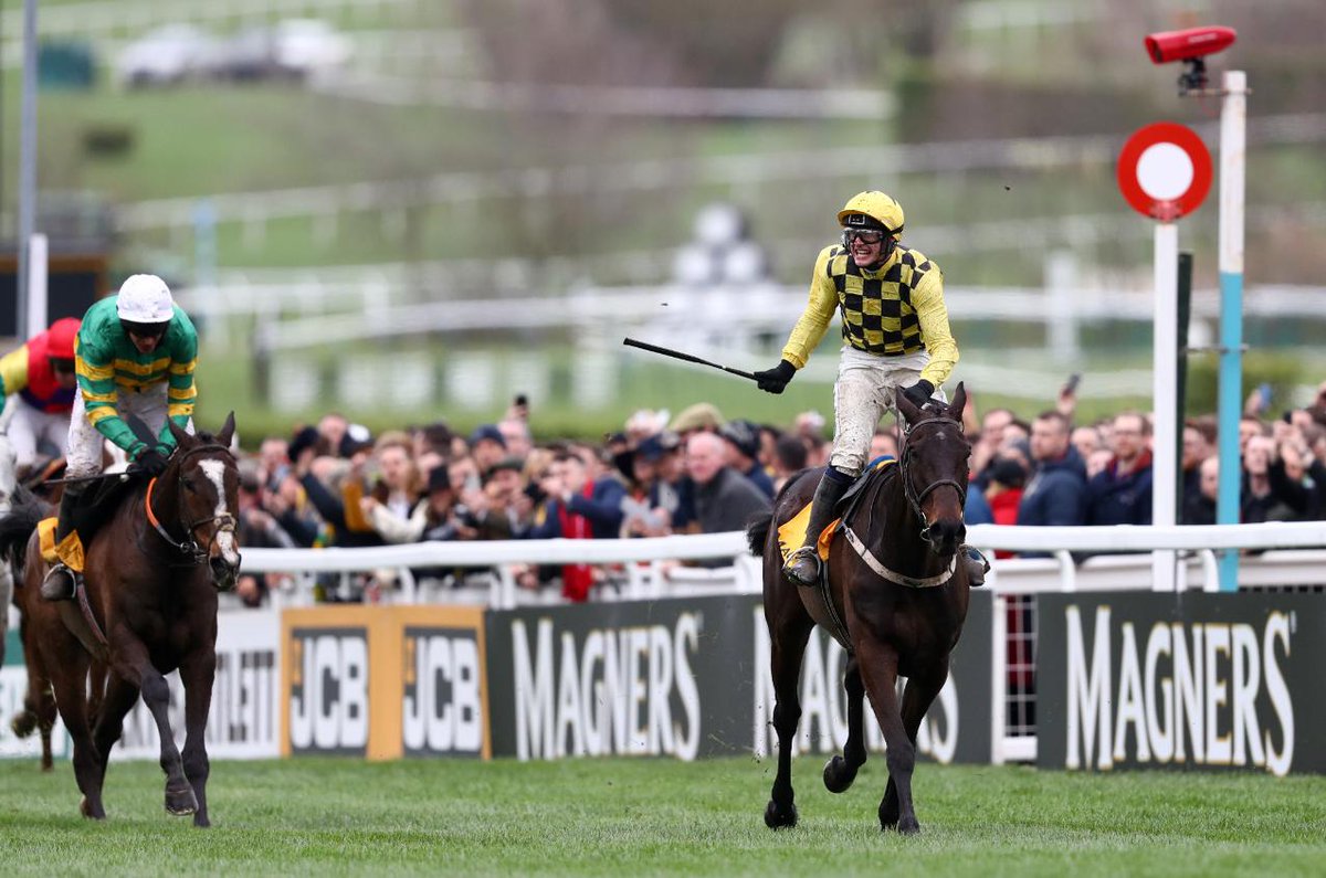 bet365's tweet photo. 📷 Al Boum Photo lands the Gold Cup as Willie Mullins wins the race for the first time. https://t.co/gu0RStcfjI