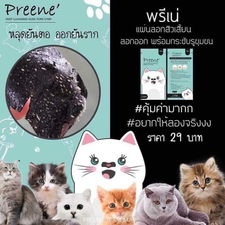 SunSun67349650's tweet photo. พรีเน่แผ่นลอกสิวเสี้ยน
ทาสเหมียว🐱พลาดได้ไง

#แผ่นลอกสิวเสี้ยนพรีเน่ https://t.co/6oGnzUFmiU