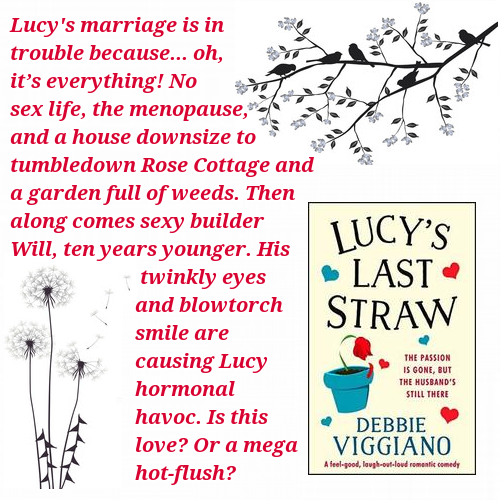 Debbie Viggiano On Twitter Here S The Cover For Lucy S Last