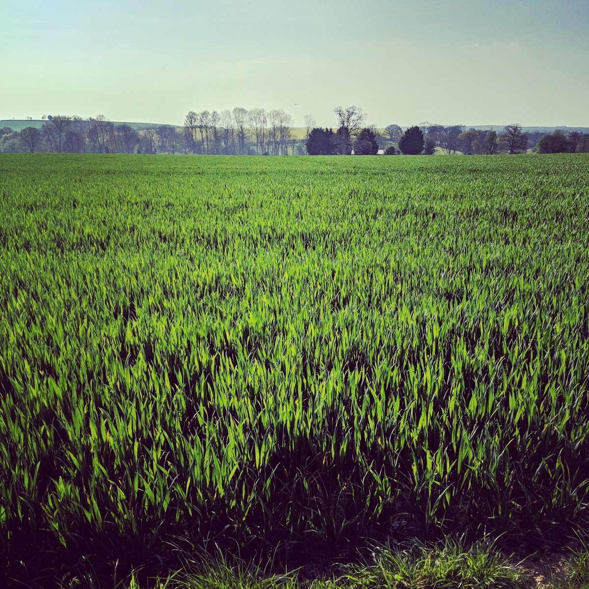 Not very inspiring weather today is it?! 😒

But we've got something to inspire you... 2️⃣0️⃣% off #blackjakhumicacid in our store for the next 7 days❗

Yay‼️

Go to blackjakhumicacid.co.uk

Click buy and use code BLACK20 at the checkout.

Nice. 😉👍