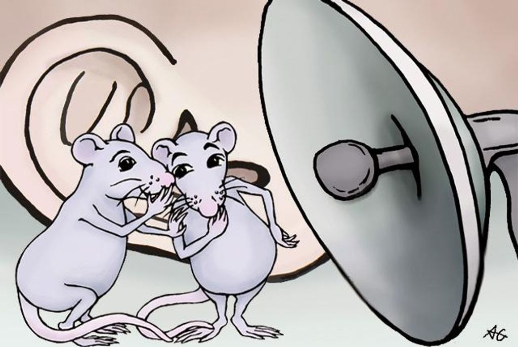 DavidTareen's tweet photo. Deep learning deciphers what rats are saying https://t.co/6rFEu35G03 #DeepLearning #MATLAB #DeepSqueak https://t.co/68y6pN2RHv
