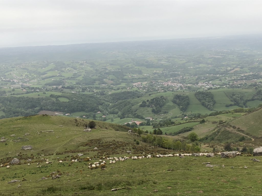 solenne rezvoy tweet media