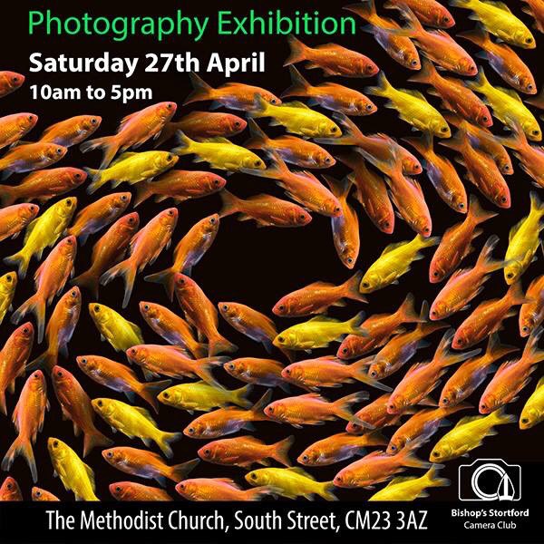 Today’s the day - do come along and see the very best of our year’s work!